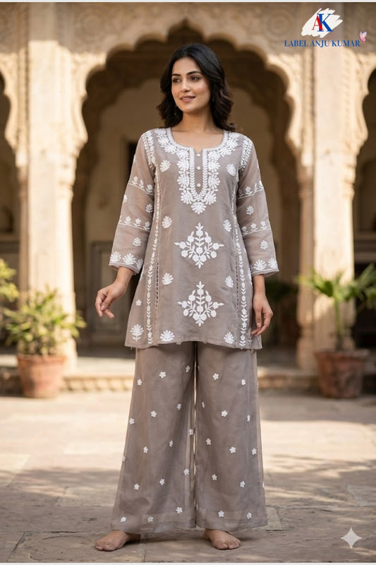 Mouse Mal Chanderi Chikankari A-Line Coord Set